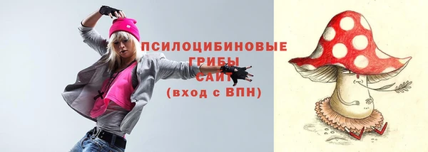 амф Володарск