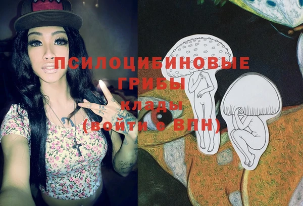 стаф Вязники
