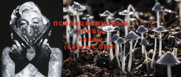 стаф Вязники