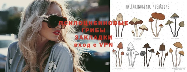 амф Володарск